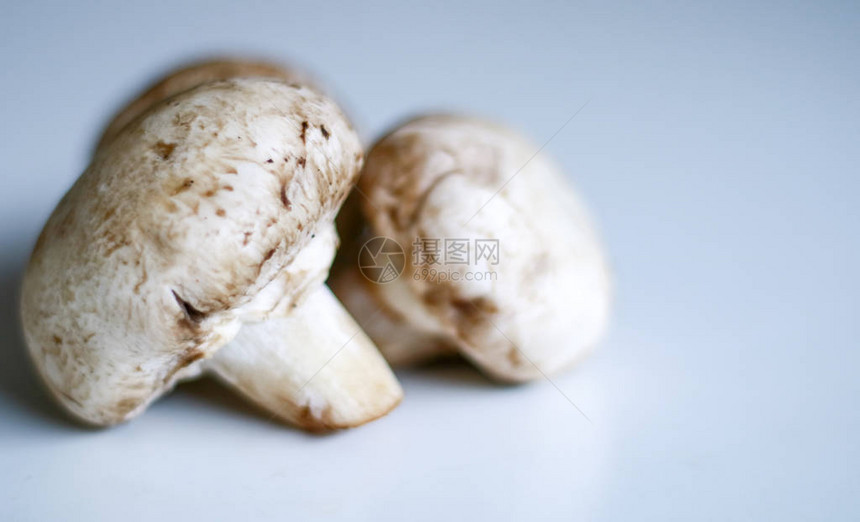 香格里翁蘑菇或白背景的阿加里克斯饼干Jimurka图片
