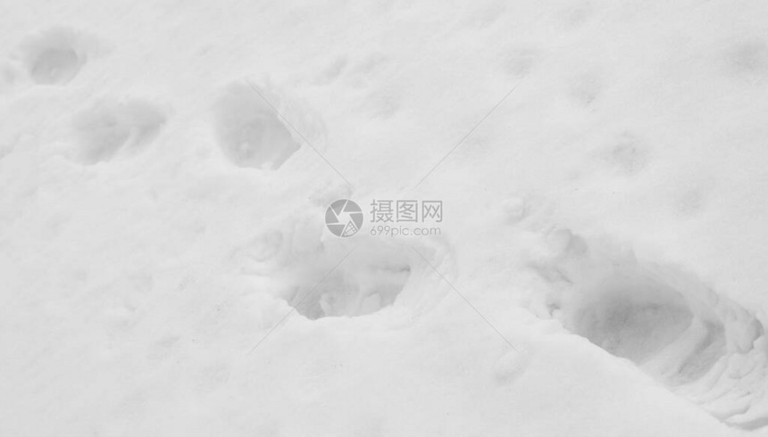 雪地里的脚印图片