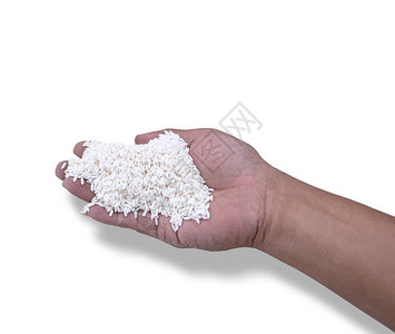 白种人手握着甜米或粘糊米图片
