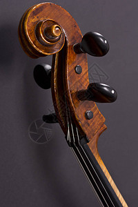 低音提琴头弦乐器背景图片