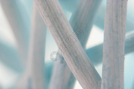 创建艺术彩色背景来自干编织植物纤维显微镜摄影的巨集镜头图片