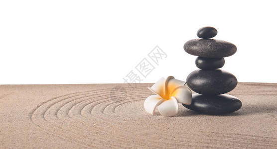 石头和花在沙滩上与白色背景的线条禅宗概念图片