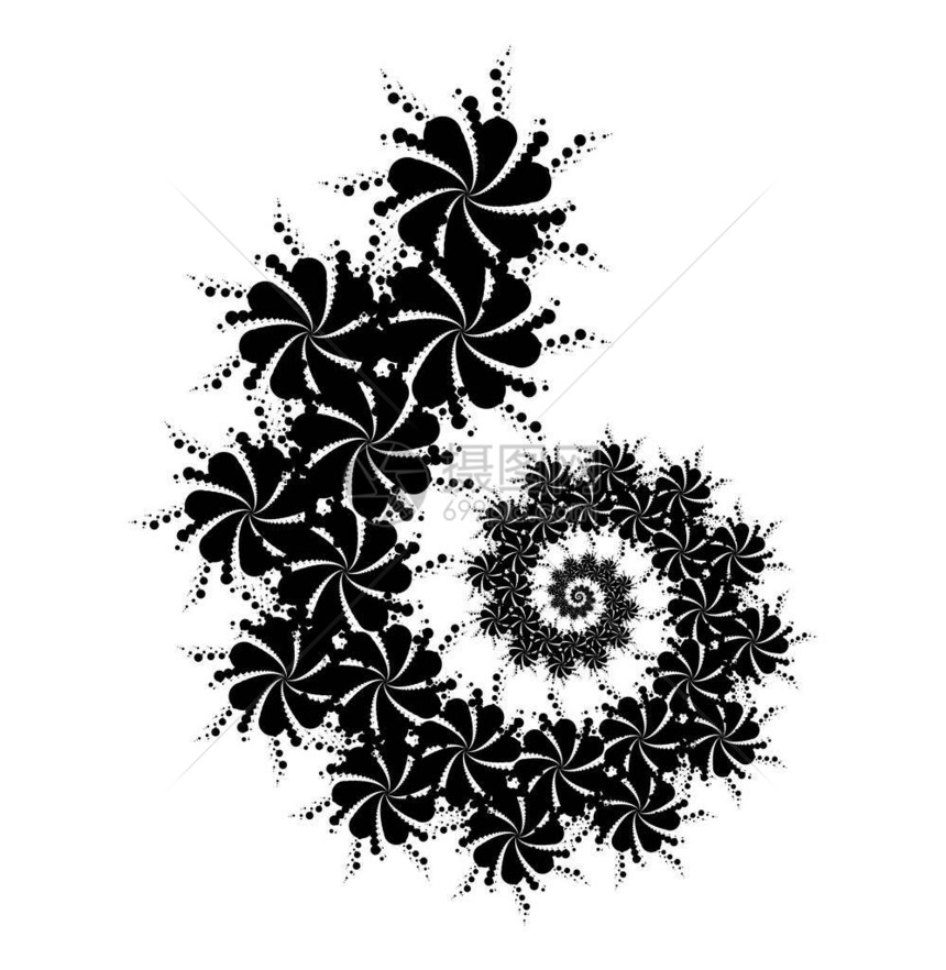 分形贝化的花粉螺旋状鹦鹉螺SnailSnailVortex形状图片