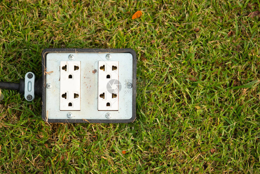野草花园派对的电插头座图片