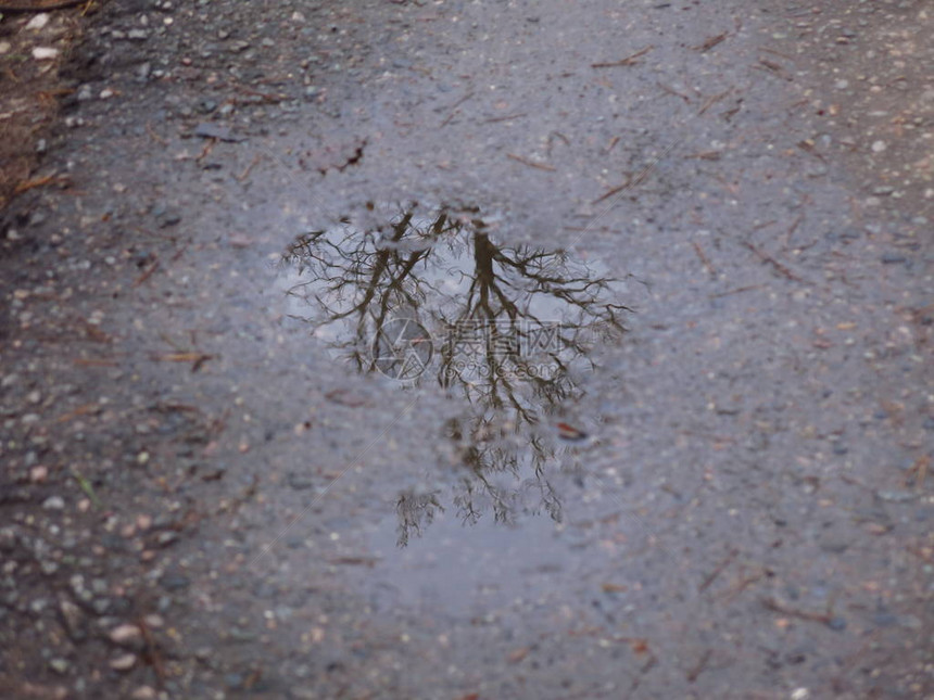 秋天在沥青上的一个水坑图片