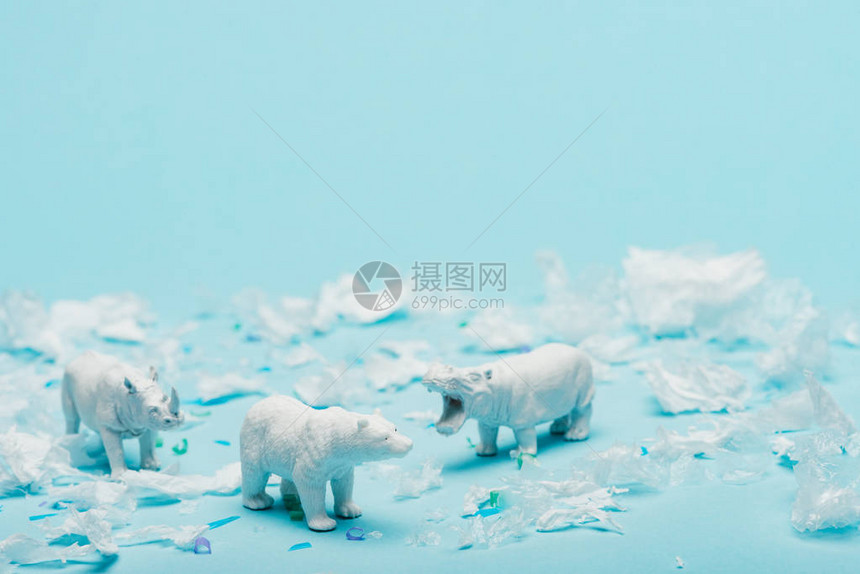 蓝色背景塑料垃圾的河马犀牛和熊白色玩具图片