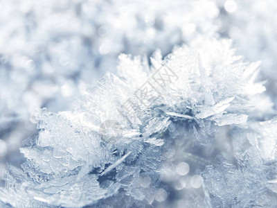 冬季圣诞节背景有晶体雪花冻状形态图片