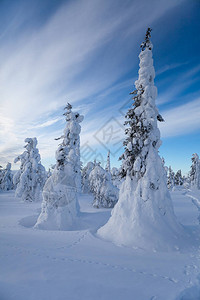 冬季芬兰雪景图片