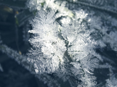 冬季圣诞节背景有晶体雪花冻状形态图片