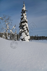 冬季芬兰雪景图片