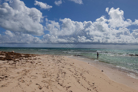 加勒比海的沙滩图片