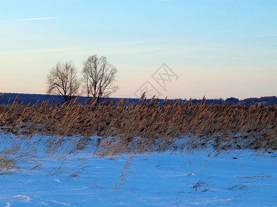 雪覆盖的草地冬季俄罗斯乌拉尔图片