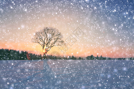 冬天是圣诞节的风景冬图片