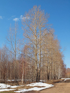 俄罗斯春季自然俄罗斯乌拉尔图片