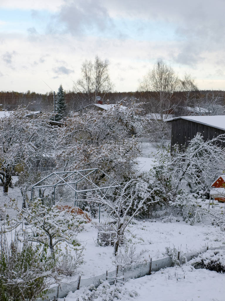 冬季暴风雪暴风雪光庭院景观图片