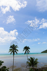 泰国夏季沙滩蓝海图片