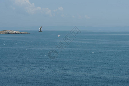 大海和蓝天的景色图片