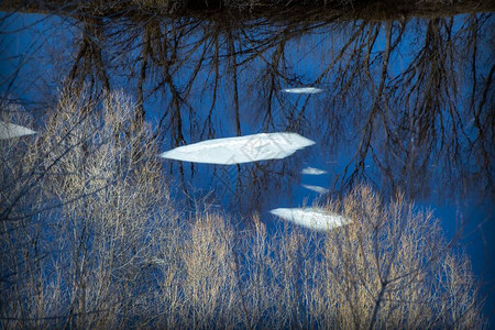 沿河浮冰的美丽景观反射蓝天和树木图片