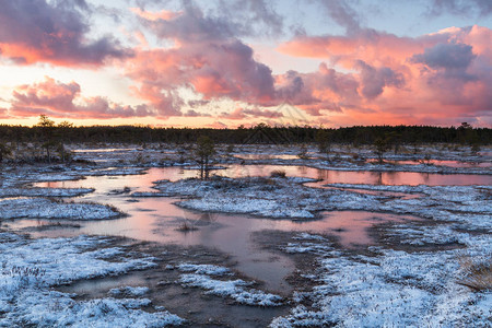 美丽的北方风景夕阳下的雪图片