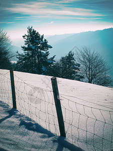 冬季风景有雪图片