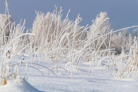 有霜和雪的冬天风景图片