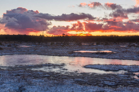 美丽的北方风景夕阳下的雪图片