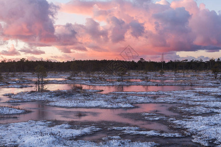 冬季美丽的北方景观图片