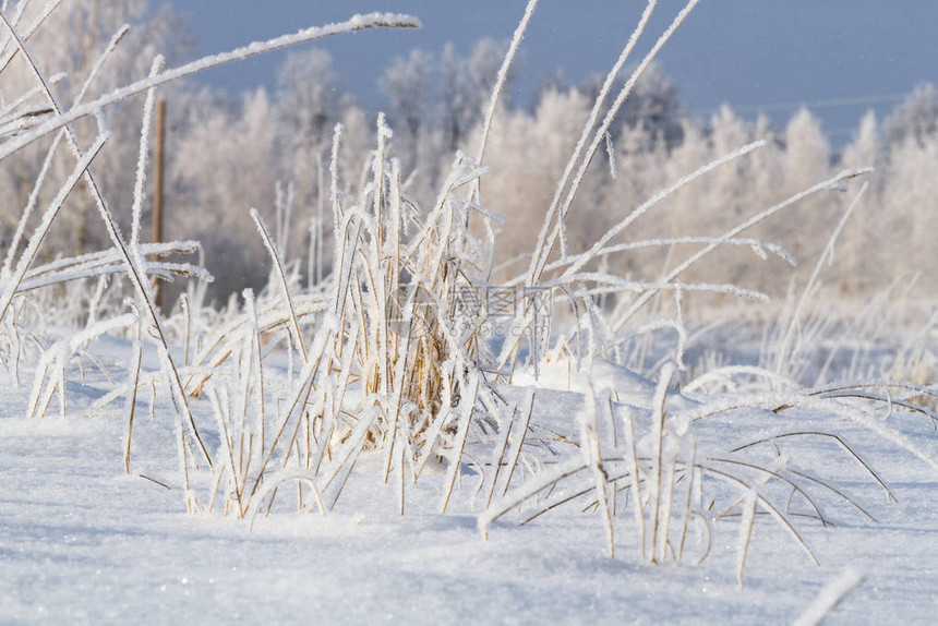 寒冷多雪的冬天在农村图片