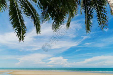 泰国美丽的海滩和热带海滨有棕榈树夏季图片