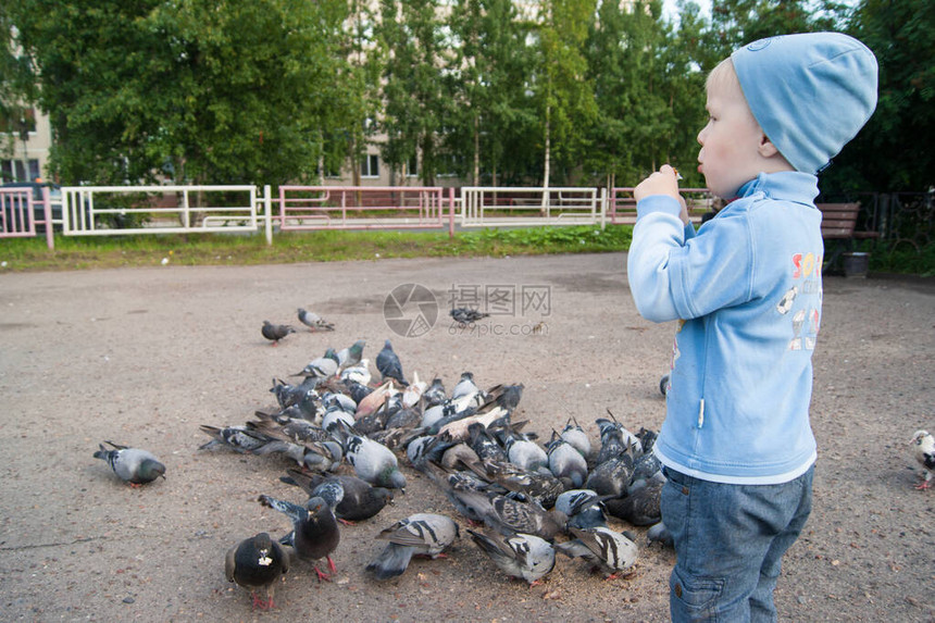 三岁身戴蓝帽子牛仔裤和凉的夏日沙鞋的白人男孩热情地为白鸽提供食物图片