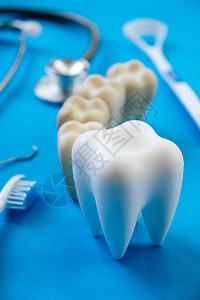 蓝色背景的牙科模型和牙科设备图片
