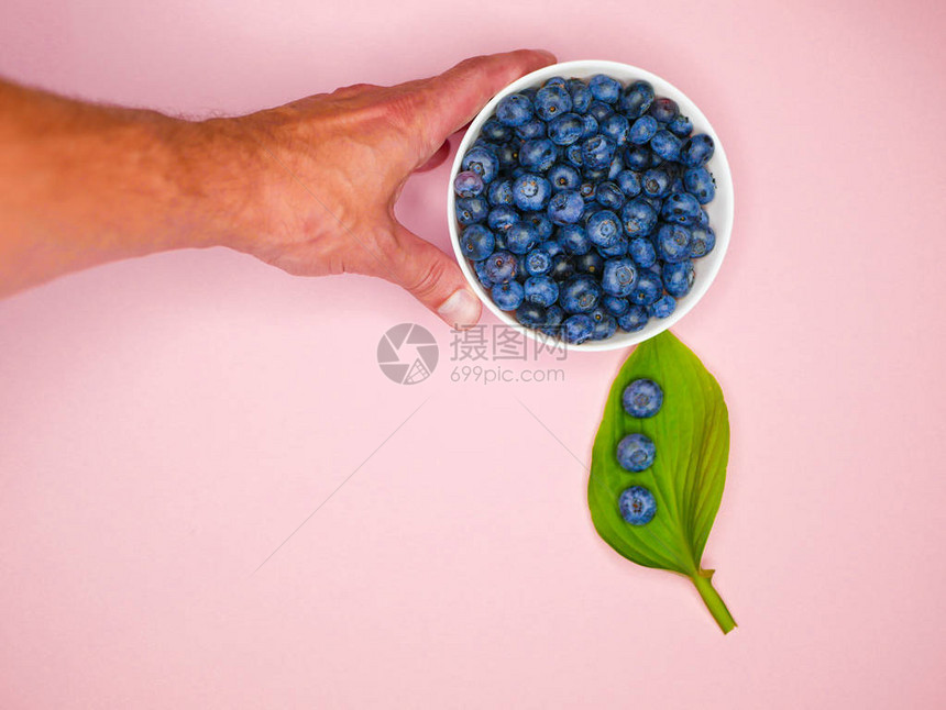 蓝莓在手健康饮食节食有机素食和人的概念拿着成熟新鲜的图片