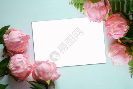 粉红皮尼人造花在浅蓝背景的浅蓝色面板上的顶部视图图片