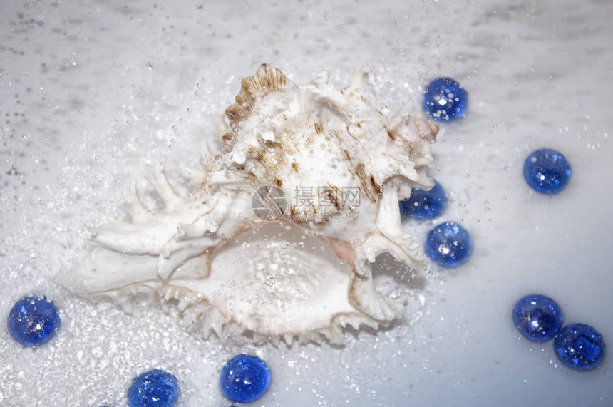 水雾中的贝壳蓝色玻璃石图片