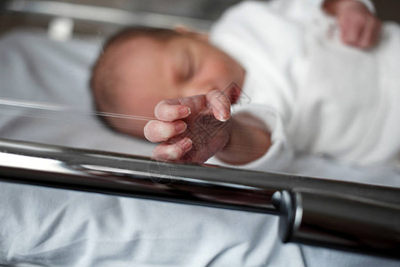 一个刚出生的婴儿躺在医院的一个盒子里小宝向摄影师展示了他的手玻璃后图片