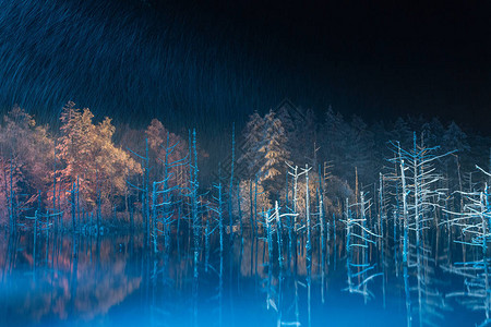夜间蓝池塘图片