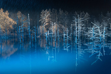 冬夜蓝池塘图片