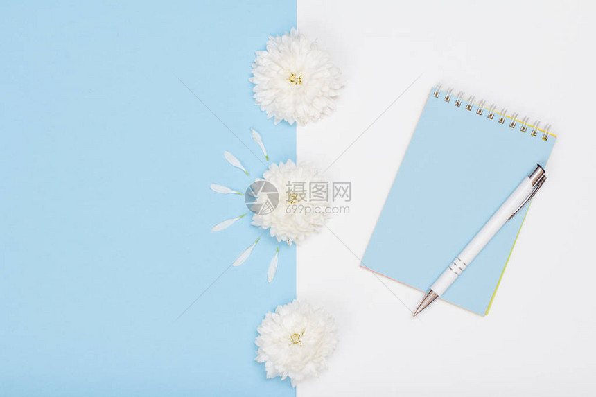 学校用品白色和蓝色背景上的笔记本钢笔和鲜花带有复制空间的顶视图回图片