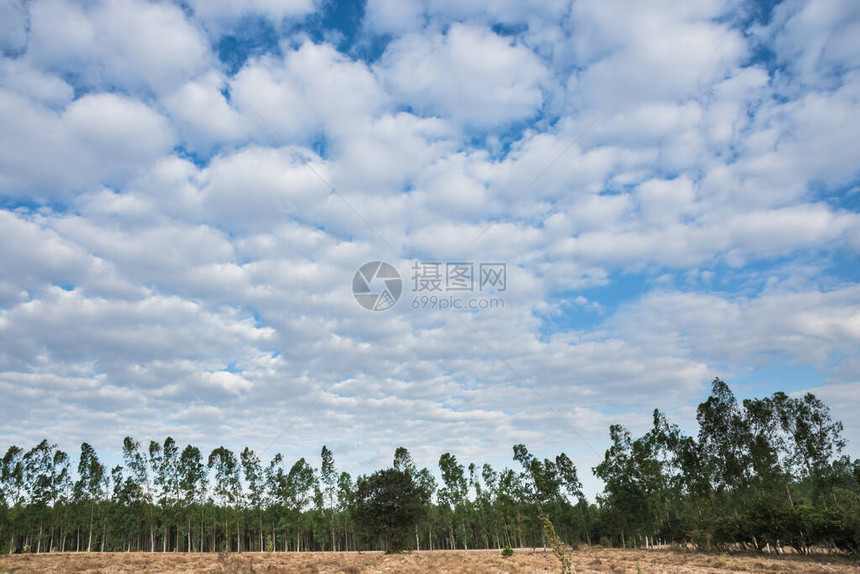 美丽的天空和云彩图片