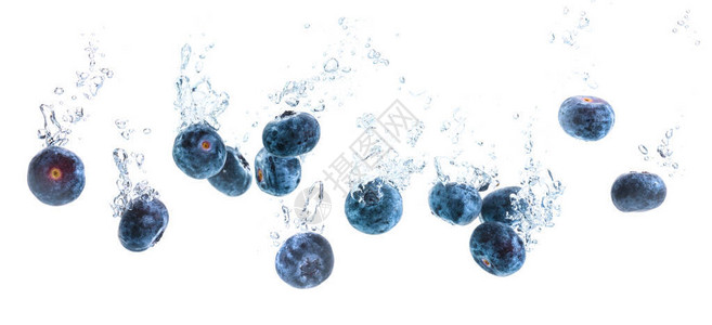 蓝莓在水下沉没的全景图片