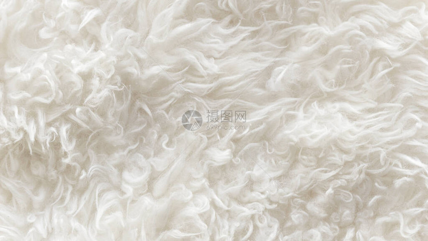 白色柔软羊毛质地背景无缝棉毛轻质天然羊毛白色蓬松毛皮的特写质地米色调的羊毛图片