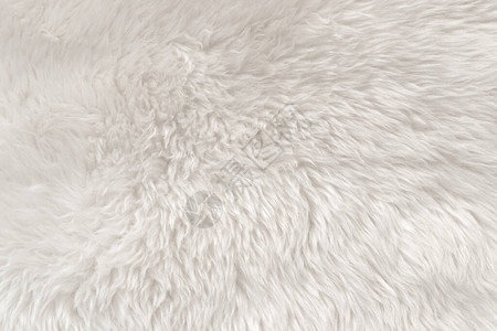 白色羊毛质地背景轻质天然动物羊毛白色无缝棉设计师蓬松毛皮质地特写碎片图片
