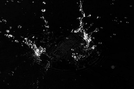 黑色背景上的水滴宏图片