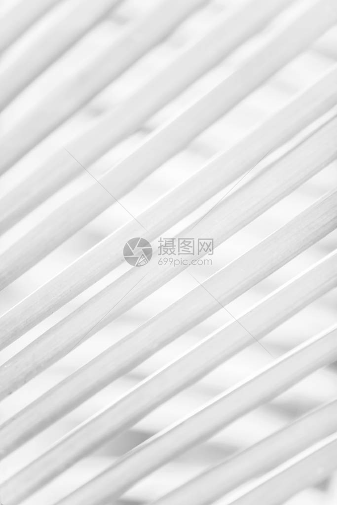 黑白棕榈叶上棕榈叶的抽象模糊背景明亮的透明艺术形状和树叶线条最小的图片