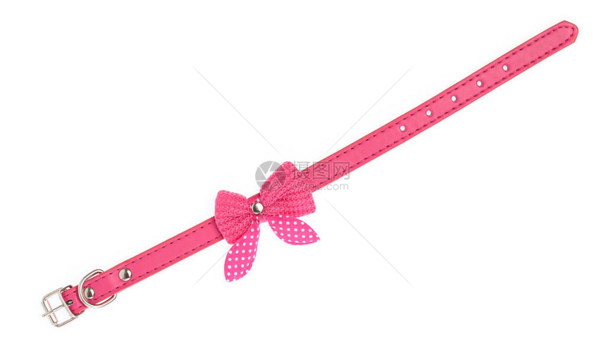 粉红宠物项圈有波卡点和弓领带在白色图片
