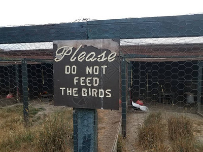 请不要喂鸟儿们的标图片