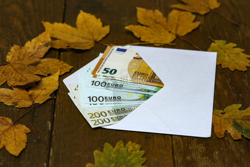 一张信封中的欧元现金复印图片