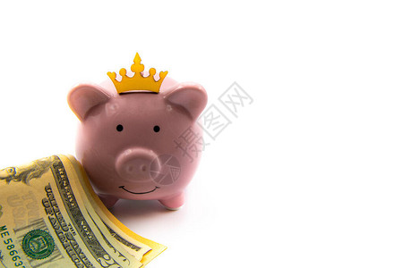 粉红小猪银行金冠和一堆美元在前头与白色背景隔绝复制空间图片