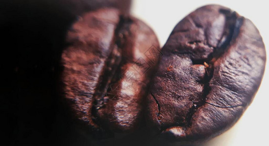 咖啡豆的细节宏豆背景图片