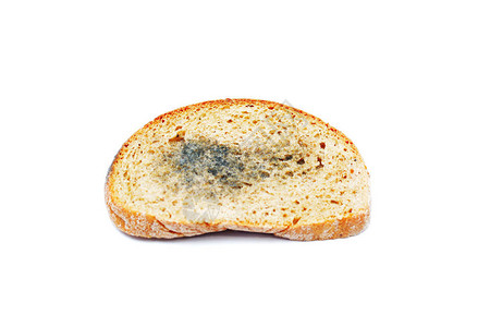 Moldy在孤立的白色背景上腐烂了面包食物因霉图片